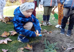 Chłopiec sadzi krzew